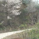 05-C | [순창 숙소] ‘자연에서 머물다’ 스테이사계 c05번 방 후기!! (솔직후기/내돈내산)