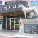 ★사람속벌레/바이얼린/노래/영토주권/늙기/충무공/진도개/보세요 이미지