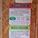 리스테이펜션 | 가평펜션: 가성비 좋고! 어린이 야외풀장까지~ 리스테이펜션