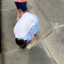 래시 | 스파오키즈 래시가드 티니핑 내돈내산 후기 사이즈 추천