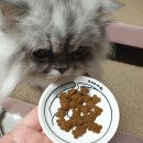 만남헤어�� 이미지