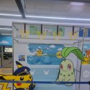 판교로50번길 | 부산 서면 굿즈샵 투어 후기