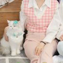 멍냥멍냥 이미지