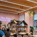 산동농협 앞 이미지