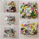 주니어목장 이미지