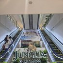 대박렌트카 | 오키나와 자유여행 렌트카 추천 빌린다렌트카 대만족 후기 한국인 사장님 도로연수