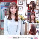 신서귀로 이미지