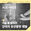 원당동물병원 이미지