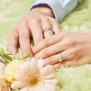 함께 남북결혼정보회사 이미지