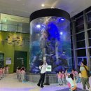 섬진강어류생태관 이미지