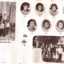 장호초등학교 이미지