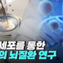 윤리적 관점에서 본 줄기세포 연구 이미지