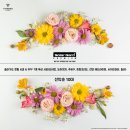 삼정카모터스 | 천안 BMW 신차 패키지 전문 시공점은 팀버스 카아레나가 유일합니다