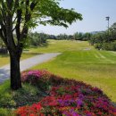 힐데스하임CC(대중제)-킹즈락cc | 2색 충북골프장 킹즈락CC 대호단양CC 대호단양골프텔 1박2일골프패키지 정보 라운딩후기