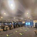 매일 여기 이미지