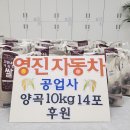 남동자동차공업사 이미지