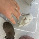 주아트 스튜디오 이미지