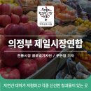 신선청과물