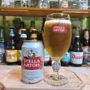 스텔라(Stella) | 스텔라 맥주 가격 알콜도수 용량 칼로리 유통기한...곳 맛후기《Stella Artois 스텔라챌리스전용잔...