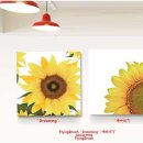 플라잉 브러쉬 이미지