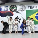 한상기 주짓수 이미지