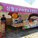 상월명품고구마영농조합법인