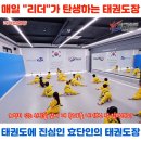 효단태권도장 이미지