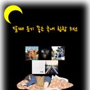 과제 (실습3) 이미지