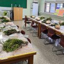 장자중학교 이미지