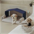 프랜드 펫 이미지