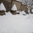 강원 화천 겨울눈 설경.^^ 이미지