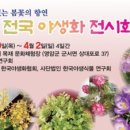 전국야생화전시회 이미지