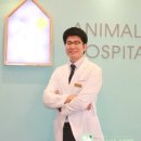 선동물병원 이미지