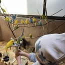 광명로 323번길 | 성남 중원 실내동물원 애니멀존 방문 솔직후기 주차 체험먹이 할인 받기