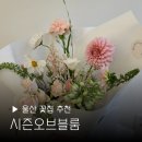 울산 꽃다발 시즌오브블룸 꽃집 재방문 신정동 당일예약 부모님 추천 후기