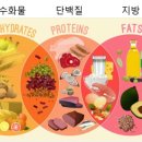 짐쉐이프 이미지