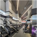 골드에스 휘트니스, 필라테스 서초점 이미지