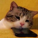 새힘컨설팅 이미지