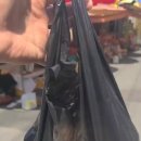 하동재첩국 전문 이미지