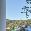 씨유(CU) 용인완장점 | 처음은 평생 추억으로 남으니까 (동아시안컵 홍콩전 후기|용인미르 시야)