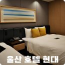 피트니스라온울산 | 울산 호텔 현대 조식 뷔페 베이커리카페 좋았던 동구 숙소