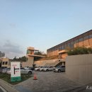 (주)신세계푸드베이커리광산점 | [광주 첨단 카페추천] COTE :: 도심 속 정원 신상 초대형 카페 '코테' 내돈내산 솔직후기