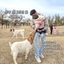동이목장 | 대구 근교 상주 아이랑 가볼만한 곳 목장 체험 동물 대형카페 파머스룸