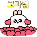 화명동전자담배샤크베이퍼