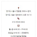 엠티브이18로 이미지