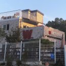 더블유펫 이미지