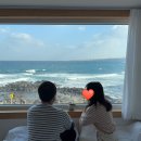 로비나발리플러스 | 가성비 좋은 제주 애월 한림 감성 숙소 추천 / 통창 바다뷰 로비나발리플러스 내돈내산 후기