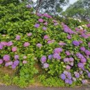 동광리-9 이미지