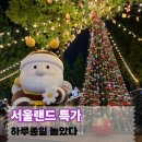 은하패션 | 서울랜드 23,000원 할인 특가 후기, 놀이기구 대기시간 총정리