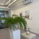 오아로 | 닥터오아로 트리플 부스터 앰플 사용 후기